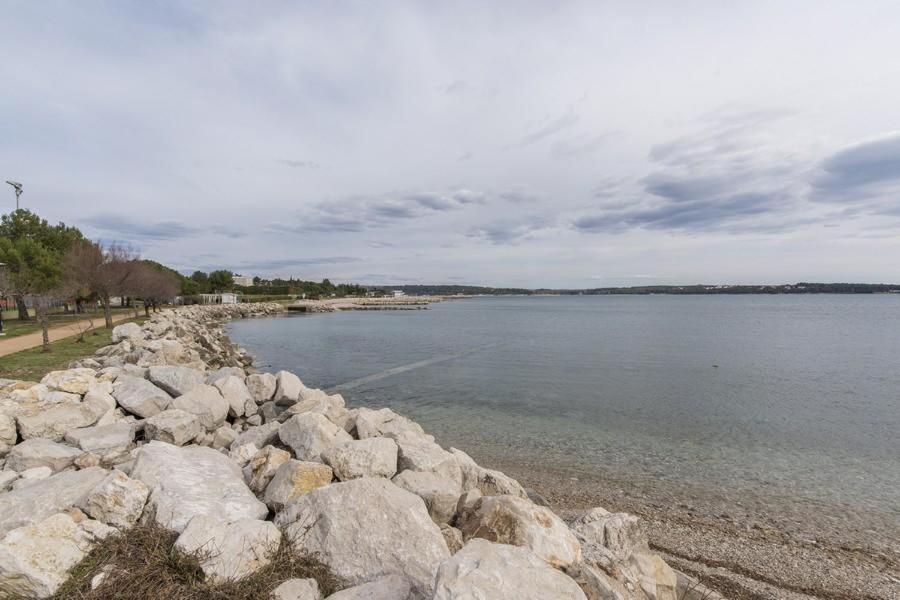 Apartment Zak Novigrad Istria エクステリア 写真