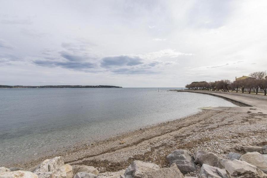 Apartment Zak Novigrad Istria エクステリア 写真