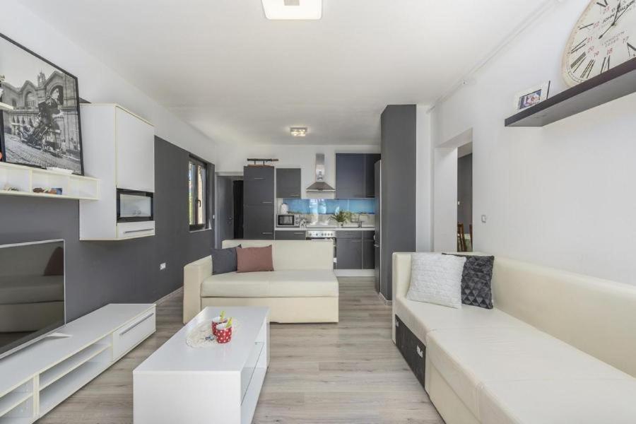 Apartment Zak Novigrad Istria エクステリア 写真